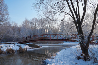 Similar image 7395041