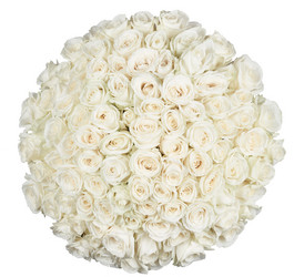 Similar image 7395044