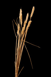 Similar image 7395135