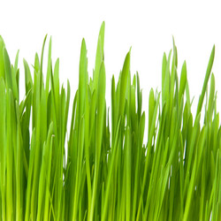 Similar image 7395142