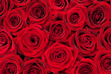 Similar image 7395144