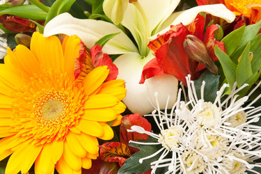 Similar image 7395145