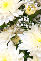 Similar image 7395147