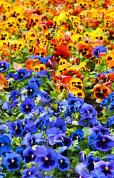 Similar image 7395148