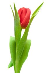 Similar image 7395150