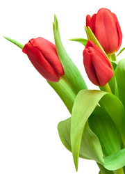 Similar image 7395151