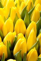 Similar image 7395160