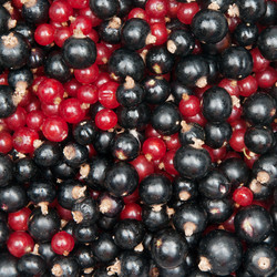 Similar image 7395161