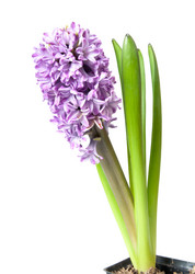 Similar image 7395162