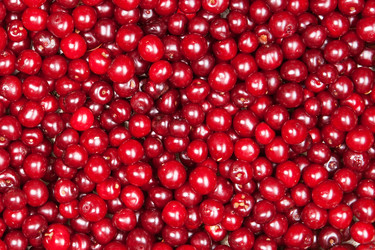 Similar image 7395165