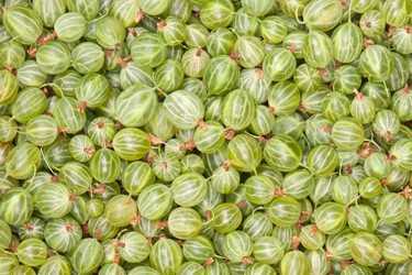 Similar image 7395166