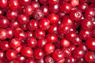 Similar image 7395174