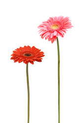 Similar image 7395175