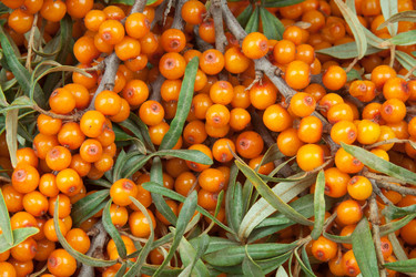 Similar image 7395177