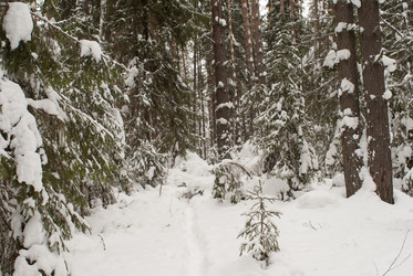 Similar image 7395189