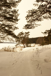 Similar image 7395204