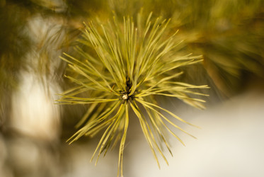 Similar image 7395241