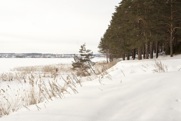 Similar image 7395242