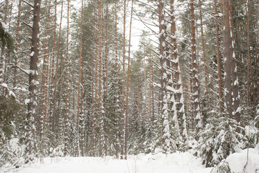 Similar image 7395244