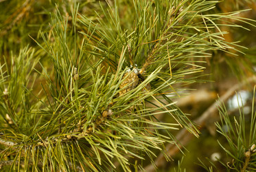 Similar image 7395248