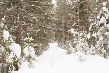 Similar image 7395250