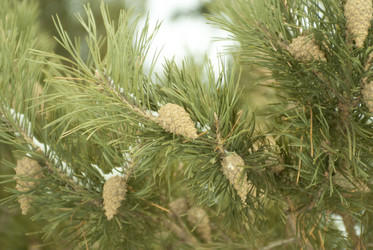 Similar image 7395255