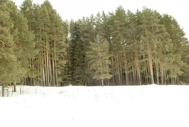 Similar image 7395269