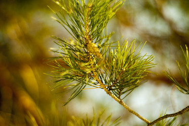 Similar image 7395276