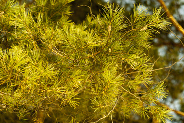 Similar image 7395277