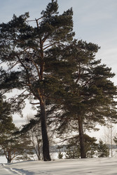 Similar image 7395280