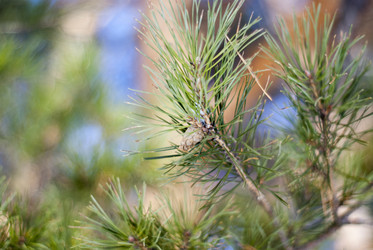 Similar image 7395285