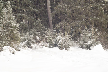 Similar image 7395288