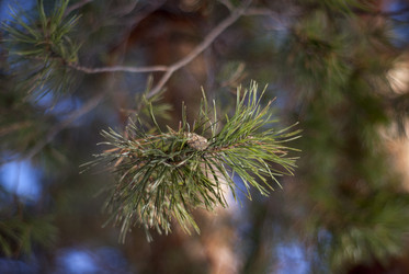 Similar image 7395290