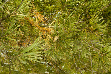 Similar image 7395291