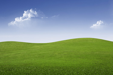 Similar image 7395340