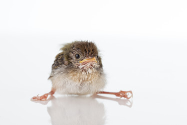 Similar image 7395490