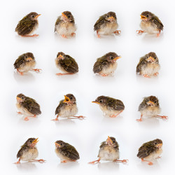 Similar image 7395501