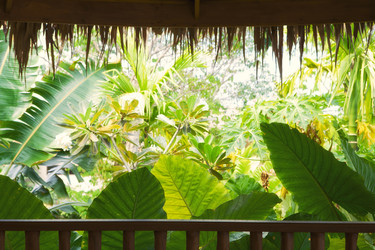 Similar image 7395582