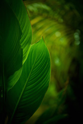 Similar image 7395648