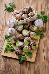 Similar image 7396212