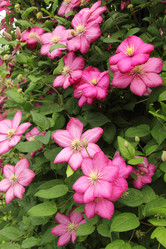 Similar image 7396256