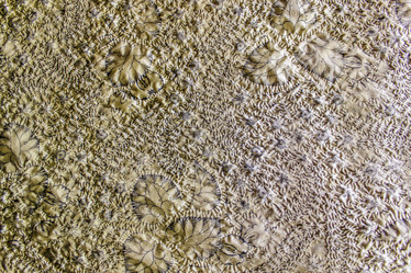 Similar image 7396302