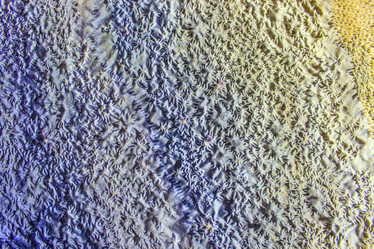 Similar image 7396305