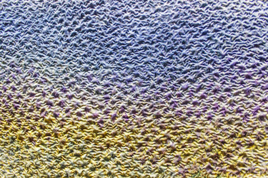 Similar image 7396306