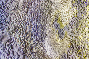 Similar image 7396307