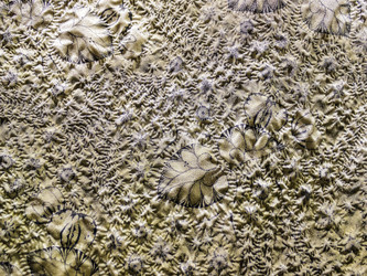 Similar image 7396310