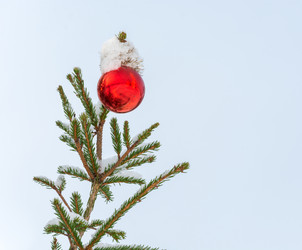 Similar image 7396312