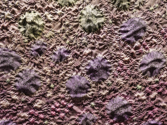 Similar image 7396320