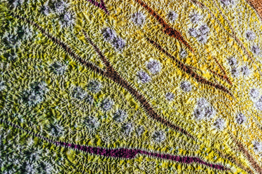 Similar image 7396323