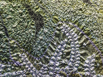 Similar image 7396324